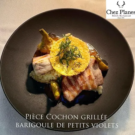 فندق Logis Restaurant Planes