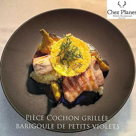 Hotel Logis Restaurant Planes